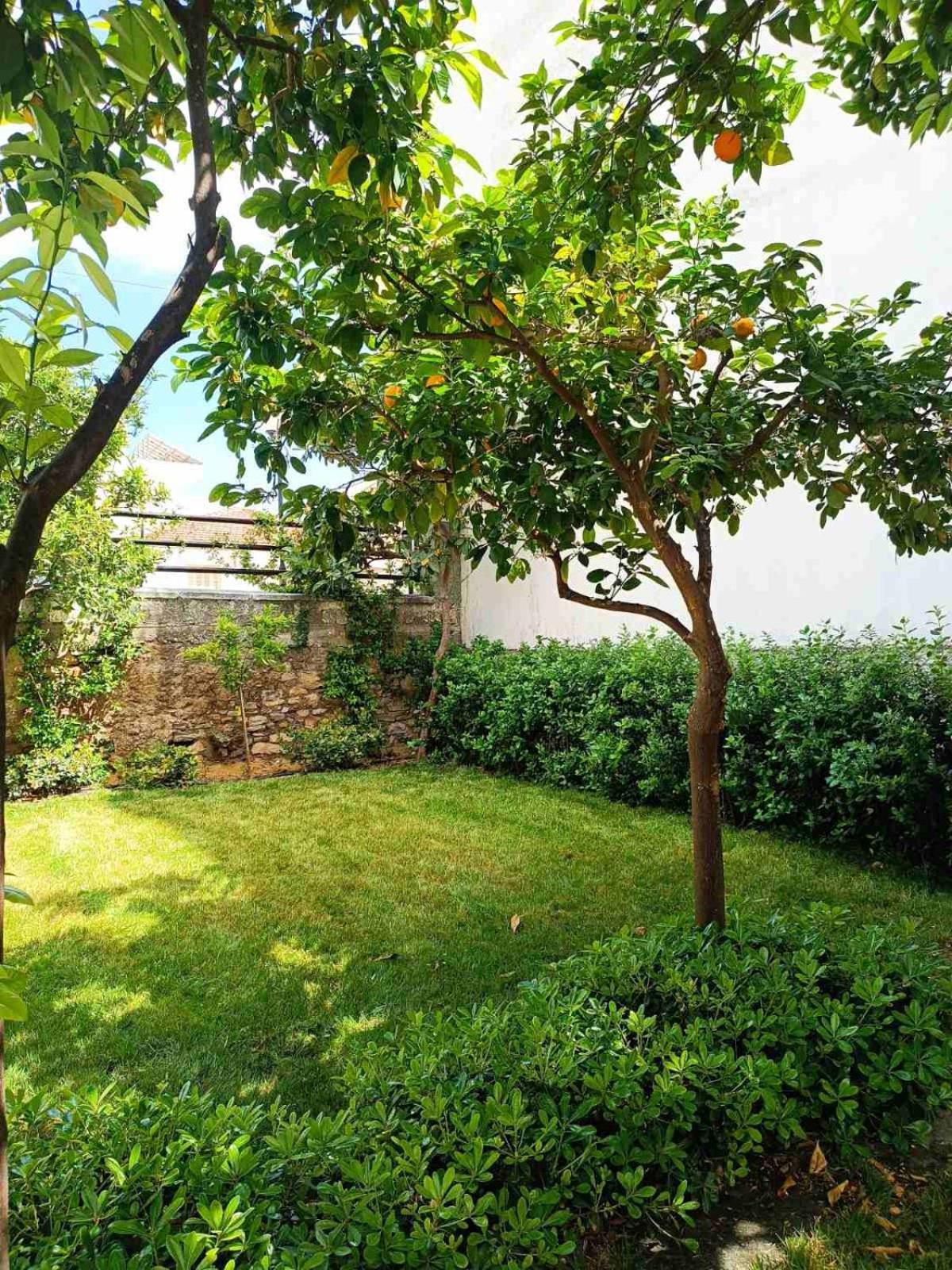 Villa Betty'S Garden House Néa Ankhíalos Exterior foto